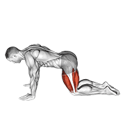 All Fours Squad Stretch demonstration animation