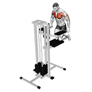 Assisted Wide Grip Chest Dip Kneeling demonstration animation