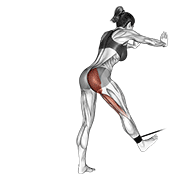 Band Bent Over Hip Extension demonstration animation