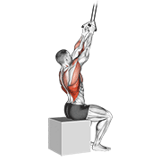 Band Fixed Back Close Grip Pulldown demonstration animation