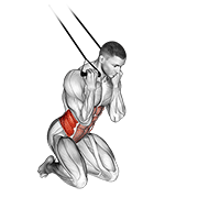 Band Kneeling Twisting Crunch demonstration animation