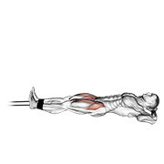 Band Lying Straight Leg Raise demonstration animation