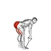 Band Straight Back Stiff Leg Deadlift demonstration animation