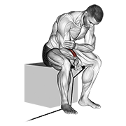 Band Wrist Curl demonstration animation