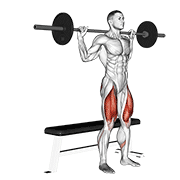 Barbell Bench Squat demonstration animation