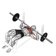 Barbell Decline Bench Press demonstration animation