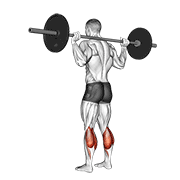Barbell Floor Calf Raise demonstration animation