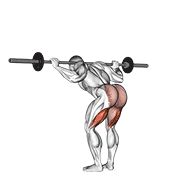 Barbell Good Morning demonstration animation