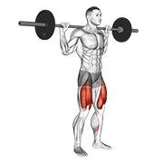 Barbell High Bar Squat demonstration animation