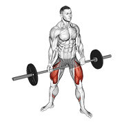 Barbell Jefferson Squat demonstration animation