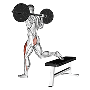 Barbell One Leg Squat demonstration animation