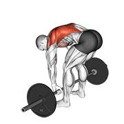 Barbell Pendlay Row demonstration animation