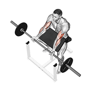 Barbell Preacher Curl demonstration animation