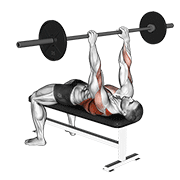 Barbell Pullover To Press demonstration animation