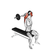 Barbell Seated Close Grip Behind Neck Triceps Extension demonstration animation
