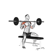Barbell Seated Overhead Press demonstration animation