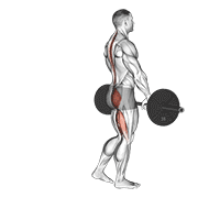 Barbell Single Leg Deadlift demonstration animation