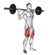 Barbell Speed Squat demonstration animation