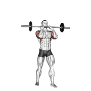 Barbell Standing Close Grip Military Press demonstration animation