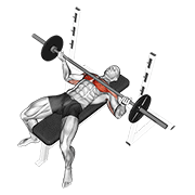 Barbell Wide Reverse Grip Bench Press demonstration animation