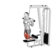 Cable Assisted Inverse Leg Curl demonstration animation