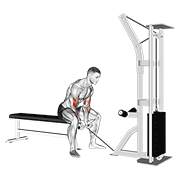 Cable Concentration Curl demonstration animation