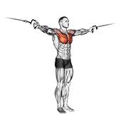 Cable Cross Over Variation demonstration animation