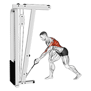 Cable One Arm Bent Over Row demonstration animation