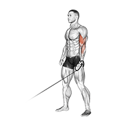 Cable One Arm Curl demonstration animation