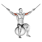 Cable Overhead Curl On Exercise Ball demonstration animation