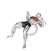 Cable Press On Exercise Ball demonstration animation