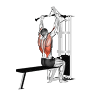 Cable Pulldown demonstration animation