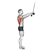Cable Pushdown Straight Arm V2 demonstration animation