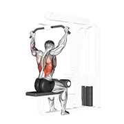 Cable Rear Pulldown demonstration animation