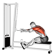 Cable Row demonstration animation