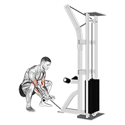 Cable Squatting Curl demonstration animation