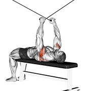 Cable Supine Reverse Fly demonstration animation