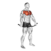 Chest And Front Of Shoulder Stretch demonstration animation