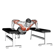 Drop Push Up demonstration animation