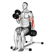 Dumbbell Alternate Seated Hammer Curl demonstration animation