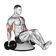 Dumbbell Biceps Curl V Sit On Bosu Ball demonstration animation