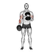 Dumbbell Cross Body Hammer Curl demonstration animation