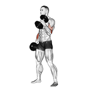 Dumbbell Hammer Curl demonstration animation