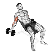 Dumbbell Incline Inner Biceps Curl demonstration animation
