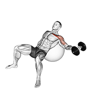 Dumbbell Incline One Arm Fly On Exercise Ball demonstration animation