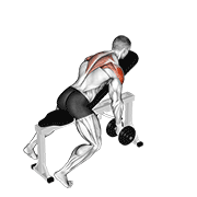 Dumbbell Incline T Raise demonstration animation