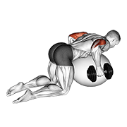 Dumbbell Kickbacks On Exercise Ball demonstration animation