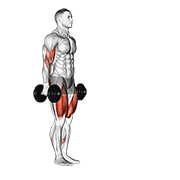 Dumbbell Lunge With Bicep Curl demonstration animation