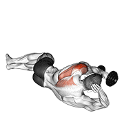 Dumbbell Lying On Floor Rear Delt Raise demonstration animation