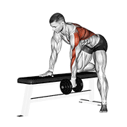 Dumbbell One Arm Bent Over Row demonstration animation